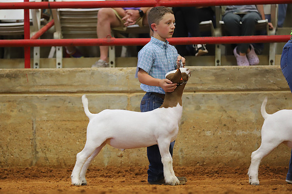 East Texas State Fair - Goat Showmanship-052