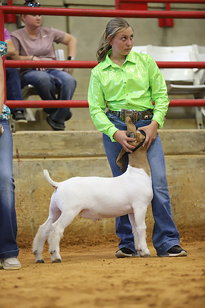 East Texas State Fair - Goat Show-075