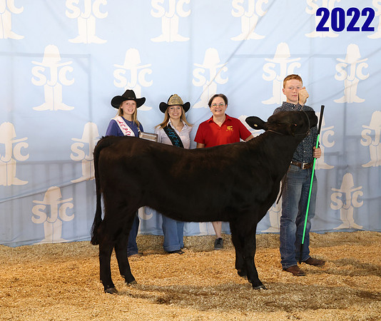 lot 159