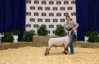 Addison Gullett