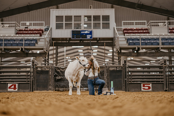 state Show-12