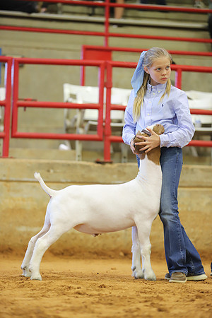 East Texas State Fair - Goat Show-020