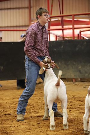 East Texas State Fair - Goat Showmanship-089
