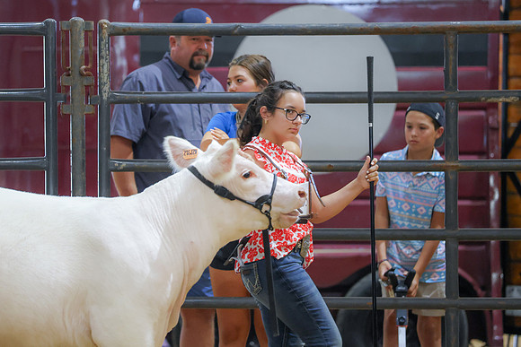 JM-8698