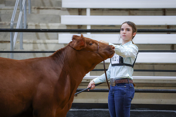 JM-8779