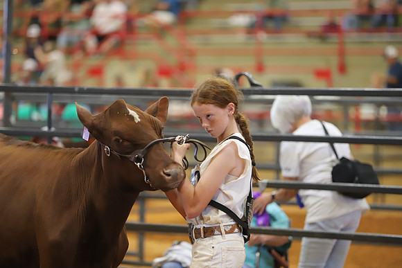 East Texas State Fair - Dairy Show-023