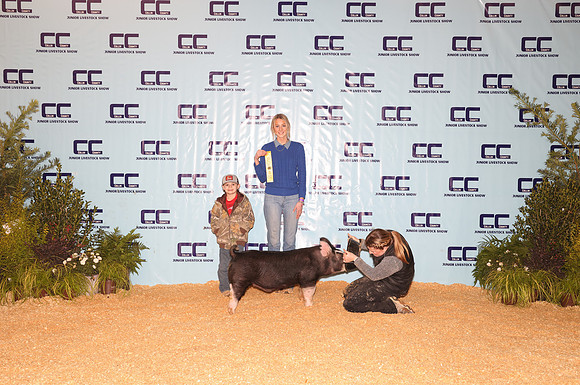 Backdrop -6
