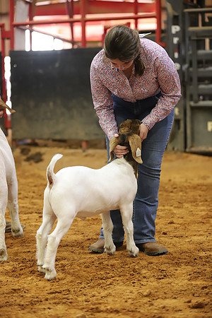 East Texas State Fair - Goat Showmanship-088