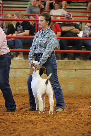 East Texas State Fair - Goat Showmanship-136