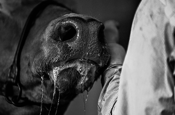 EB photorgraphy-48