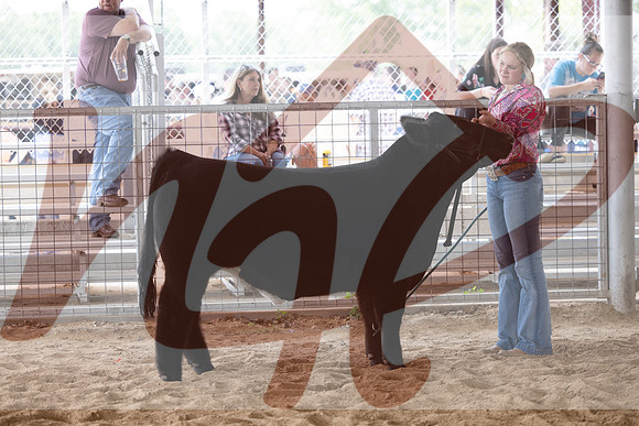 Aledo-089