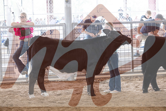 Aledo-029