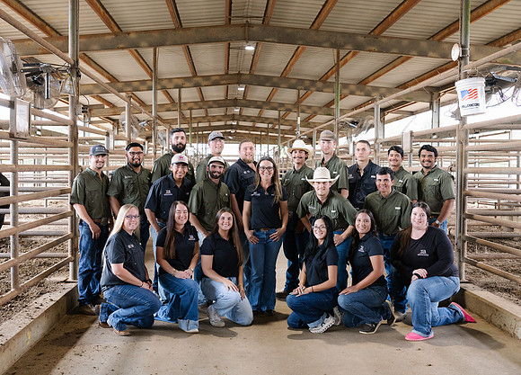 IBS-306