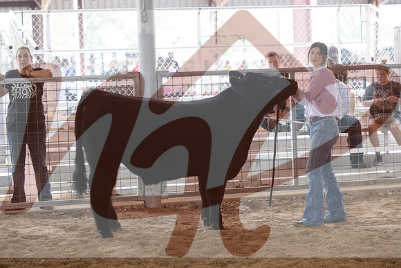 Aledo-081