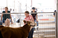 Aledo-014