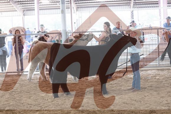 Aledo-063