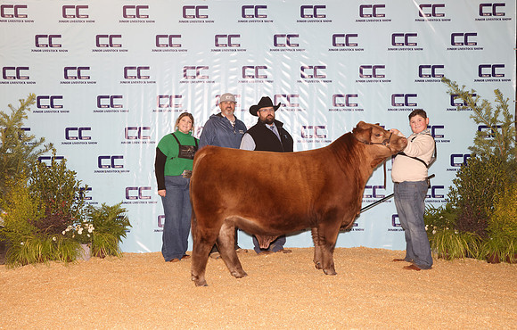 Champ American Bruin Williams