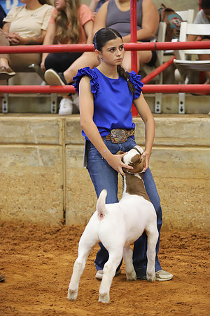 East Texas State Fair - Goat Showmanship-100