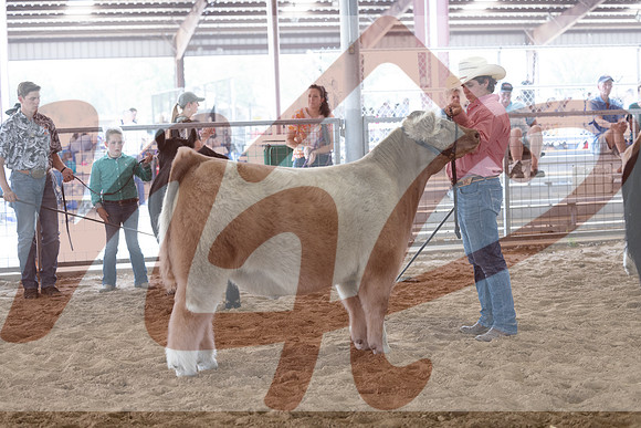 Aledo-057