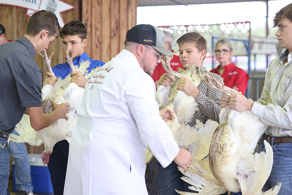 ACF 2026 Turkey-962