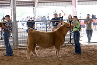 Aledo-003