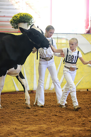 East Texas State Fair - Dairy Show-325