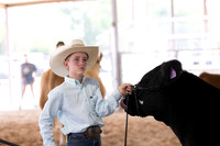 Aledo-004