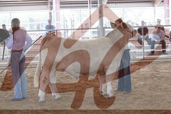 Aledo-072
