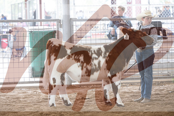 Aledo-025