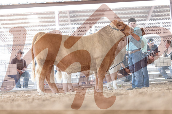 Aledo-061