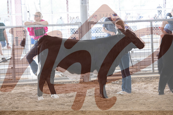 Aledo-030