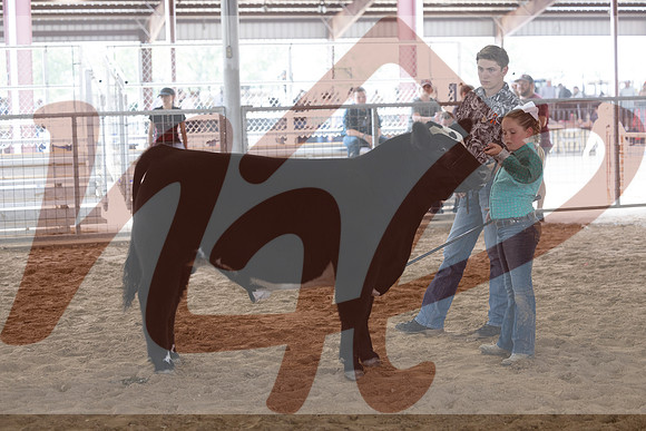 Aledo-086