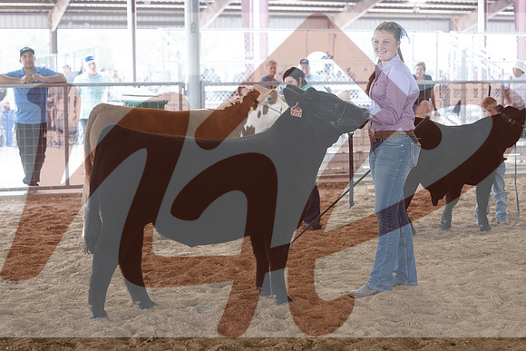 Aledo-047