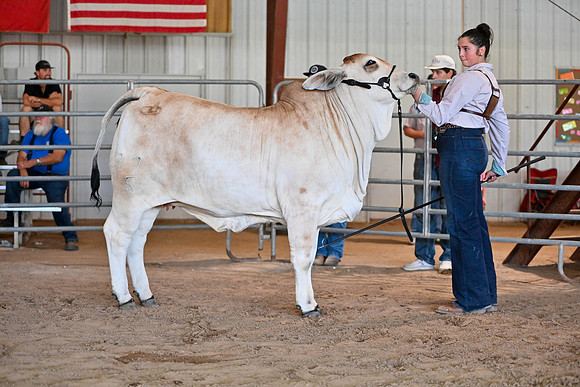 EB photorgraphy