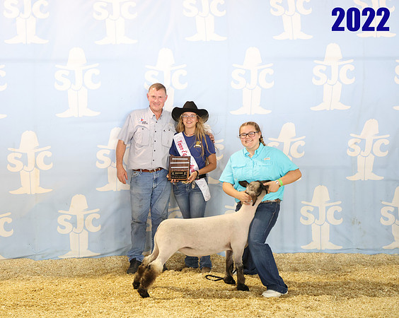 lot 130