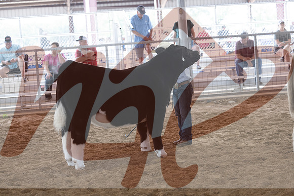 Aledo-113