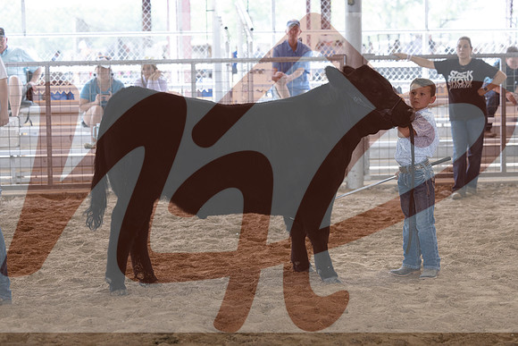 Aledo-076
