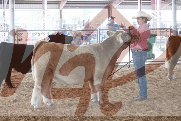Aledo-052