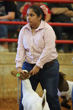 East Texas State Fair - Goat Showmanship-135