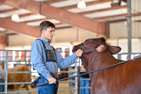 EB photorgraphy-11