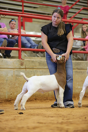 East Texas State Fair - Goat Show-060