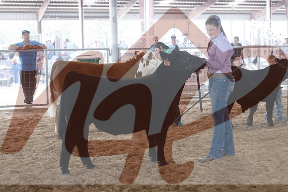 Aledo-049