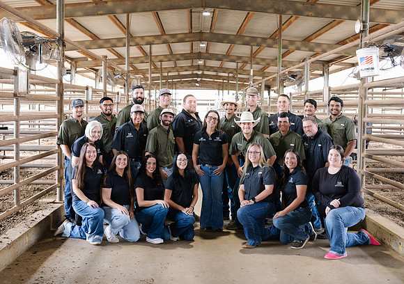 IBS-307