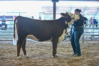 EB photorgraphy-14