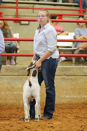 East Texas State Fair - Goat Showmanship-150