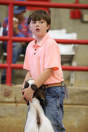 East Texas State Fair - Goat Show-052