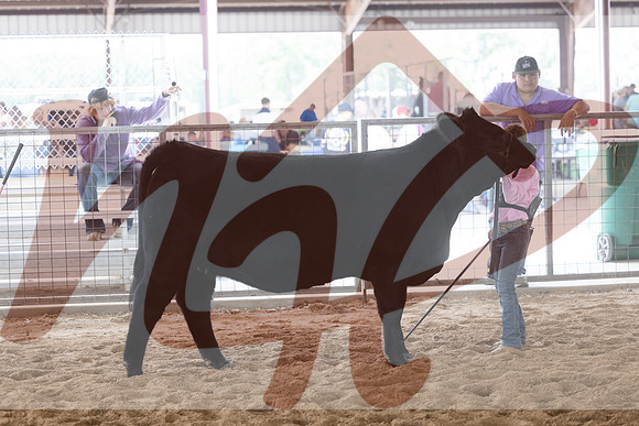 Aledo-046