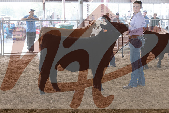 Aledo-051