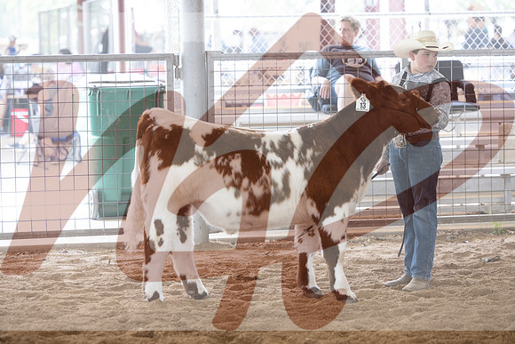 Aledo-026