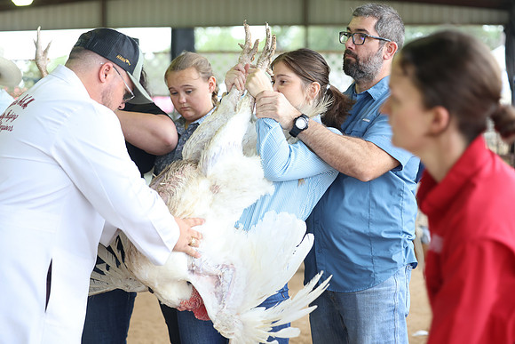 ACF 2026 Turkey-849